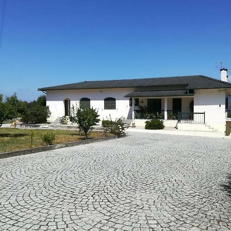 Casa Dos Lacos Viseu Zewnętrze zdjęcie