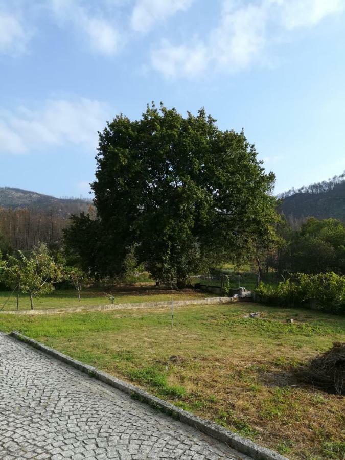 Casa Dos Lacos Viseu Zewnętrze zdjęcie
